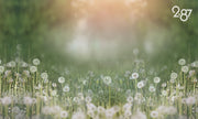 Primavera/Pascua/Paisajes/Flores - PAISAJE 004